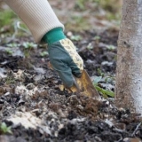 5 Vrsta gnojiva koje je najbolje primijeniti u jesen